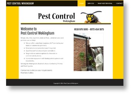 Pest Control Wokingham